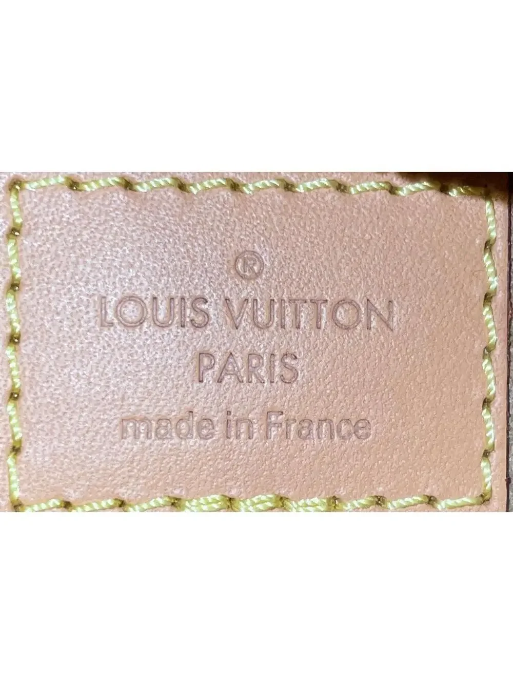 Louis Vuitton Loop Handbag Canvas #296497L23B